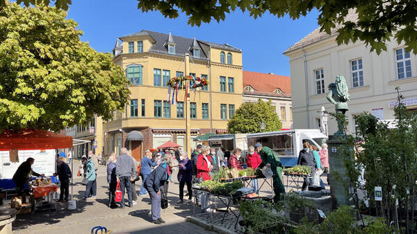 Bild vergrößern: Grner Markt