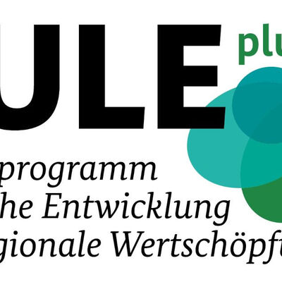 Bild vergrößern: Logo BULEplus