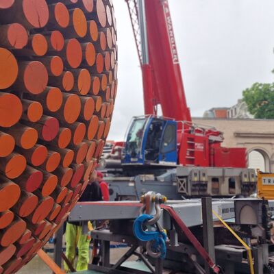 Bild vergrößern: Aus Brandenburg wurde die Orange mittels Schwerlasttransport nach Aschersleben gebracht und mit Hilfe eines Krans an ihren Standort in der Orangerie gehoben.