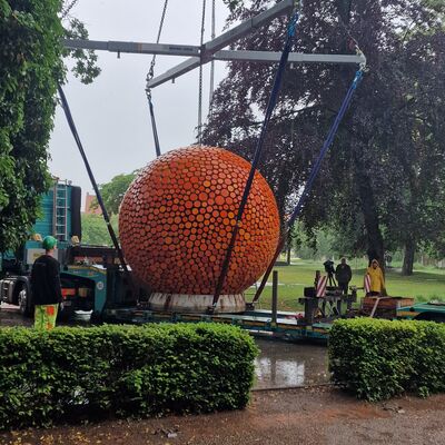Bild vergrößern: Aus Brandenburg wurde die Orange mittels Schwerlasttransport nach Aschersleben gebracht und mit Hilfe eines Krans an ihren Standort in der Orangerie gehoben.