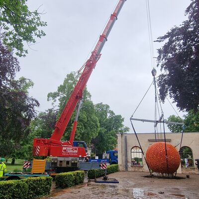 Bild vergrößern: Aus Brandenburg wurde die Orange mittels Schwerlasttransport nach Aschersleben gebracht und mit Hilfe eines Krans an ihren Standort in der Orangerie gehoben.