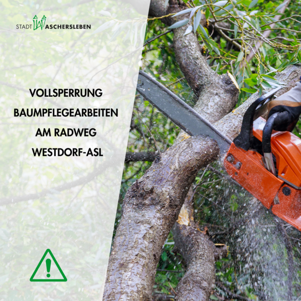 Bild vergrößern: Imagebild zu Baumpflegearbeiten