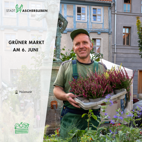 Bild vergr&ouml;&szlig;ern: Gr�ner Markt Juni 2026