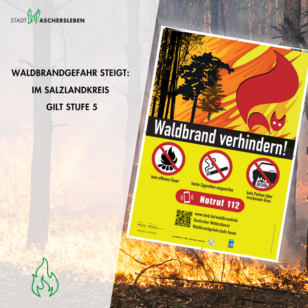 Bild vergr&ouml;&szlig;ern: Waldbrandgefahr