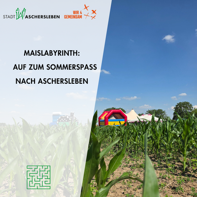 Bild vergr&ouml;&szlig;ern: Maislabyrinth er�ffnet