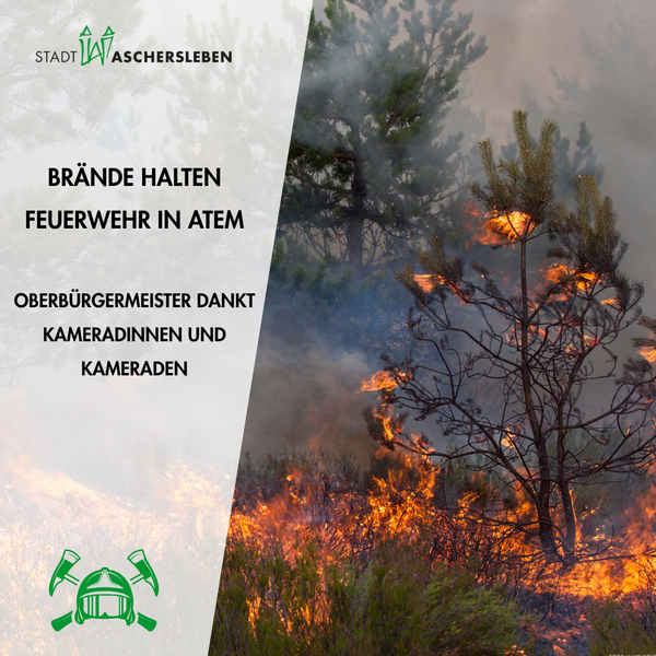Bild vergr&ouml;&szlig;ern: Bild eines Vegetationsbrandes im Hintergrund