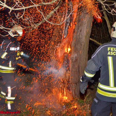 Bild vergrößern: Bild zeigt Kameraden der Feuerwehr im Einsatz