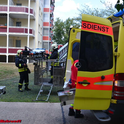 Bild vergrößern: Bild zeigt Kameraden der Feuerwehr im Einsatz