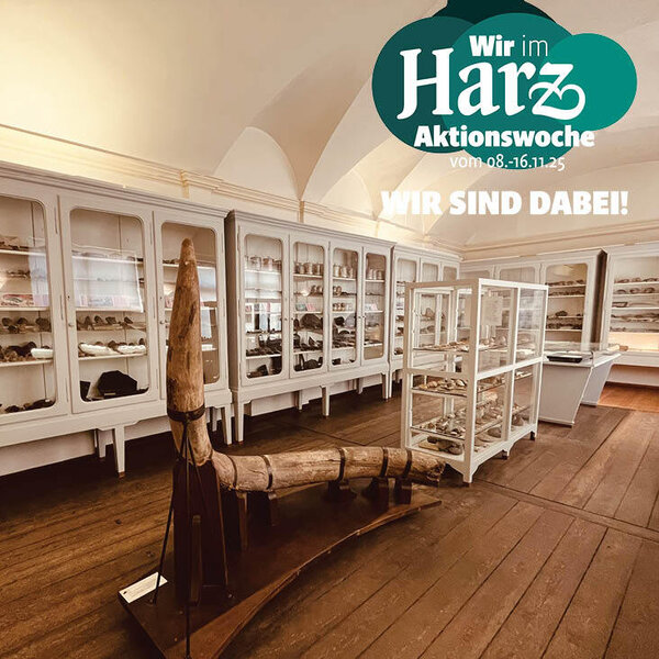 Bild vergrößern: Aschersleben beteiligt sich an der Aktion "Wir im Harz".