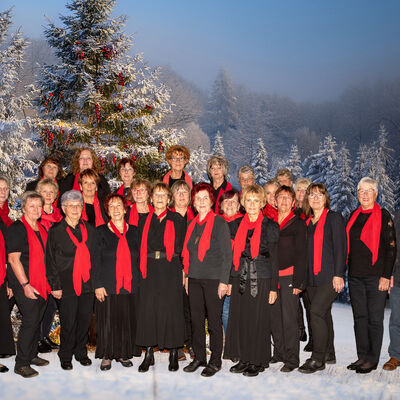 Der Aschersleber Lyra-Chor lädt zum Weihnachtskonzert.
