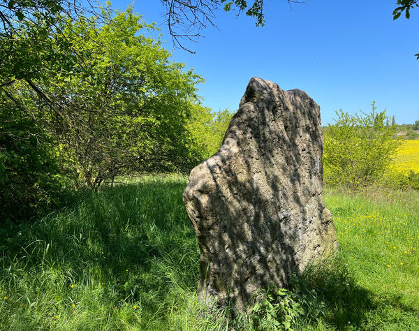 Bild vergrößern: Speckseite Aschersleben