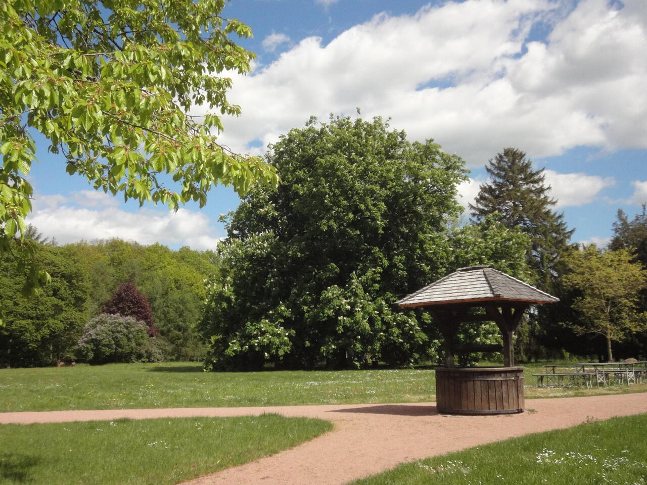 Bild vergrößern: Landschaftspark Degenershausen - Mitglied im Netztwerk "Gartentrume - Historische Parks in Sachsen-Anhalt"