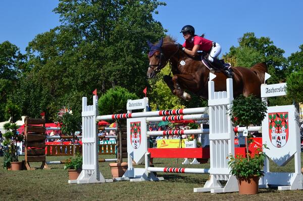 Bild vergrößern: ASCANIA Pferdefestival - das hochkartige Reitturnier auf der Herrenbreite Aschersleben