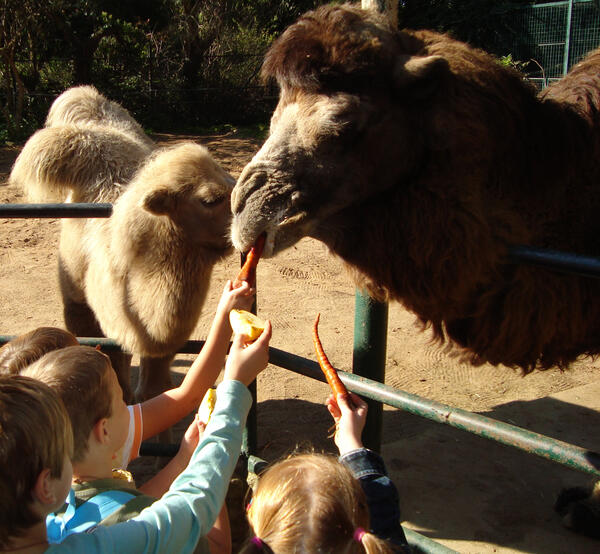 Kindertag im Zoo Aschersleben