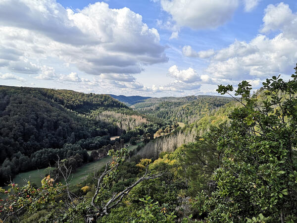 Bild vergrößern: Ausblick in das Selketal