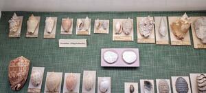 Bild vergrößern: Schmuckstücke der Künstlerin Margit Jäschke sind in der Dauerausstellung im Museum Aschersleben zu finden.