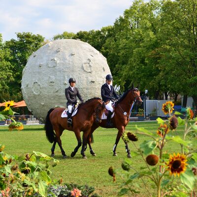 Traditionell findet immer Mitte August großer Reitsport auf der Herrenbreite Aschersleben statt.
