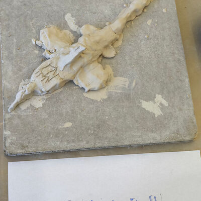 Bild vergr&ouml;&szlig;ern: 90 - IMG_20251107_110341