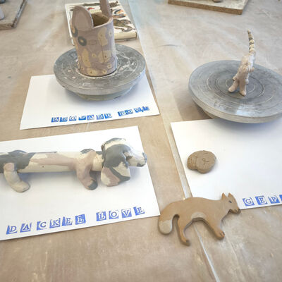 Bild vergr&ouml;&szlig;ern: 162 - IMG_20251107_114929