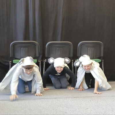 Bild vergr&ouml;&szlig;ern: 2025-11 GS Mehringen Pr&auml;sentatio Theater (11)