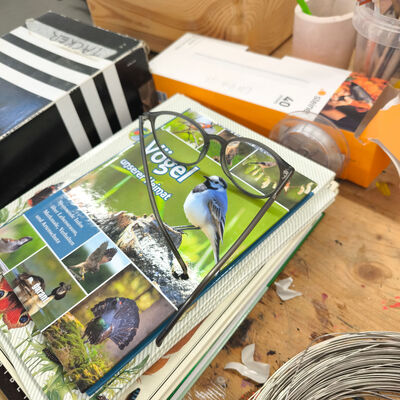 Bild vergr&ouml;&szlig;ern: 2026-01 Sek Burgschule Objekt (6)