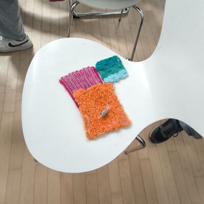 Bild vergr&ouml;&szlig;ern: 2026-09 Sek ASchweitzer Pr&auml;sentation Textil (3)