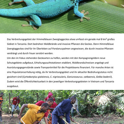 Bild vergrößern: Hintergrundinformationen zum Zootier des 2024