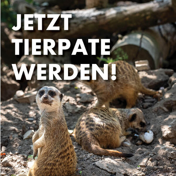 Bild vergrößern: Tierpate werden im Zoo Aschersleben