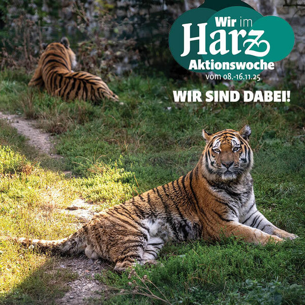 Bild vergrößern: Der Zoo Aschersleben ist bei der Aktion "Wir im Harz" mit von der Partie.