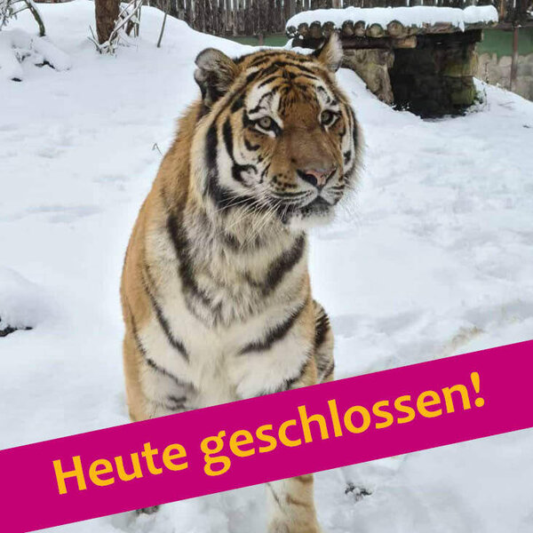 Bild vergr&ouml;&szlig;ern: Aufgrund der Witterungsverh�ltnisse bleibt der Zoo geschlossen.